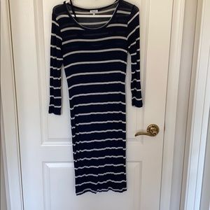 Splendid long Sleeve dress with Slip